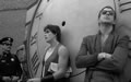 Rumble Fish