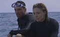 The Reef