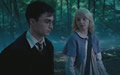 Harry Potter and the Order of the Phoenix