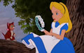 Alice in Wonderland