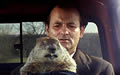 Groundhog Day