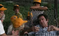 The Bad News Bears