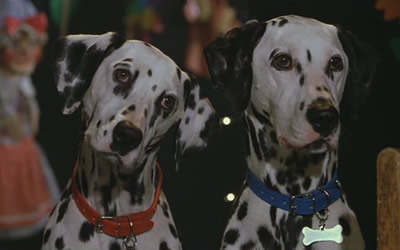 102 Dalmatians - Glenn Close, Gérard Depardieu, Ioan Gruffudd, Alice Evans 102 Dalmatians - Glenn Close, Gérard Depardieu, Ioan Gruffudd, Alice Evans