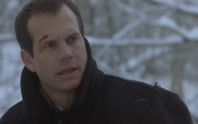 Bill Paxton as Hank in A Simple Plan (1998)