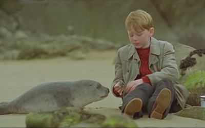 John Bell as Tomás in A Shine of Rainbows (2009) John Bell as Tomás in A Shine of Rainbows (2009)