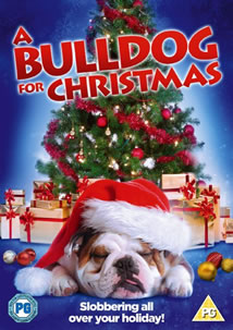 A Bulldog for Christmas