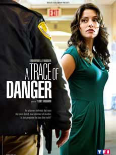 A Trace of Danger (2010)