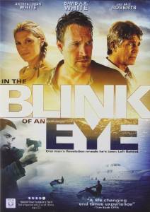 In the Blink of an Eye (2009)