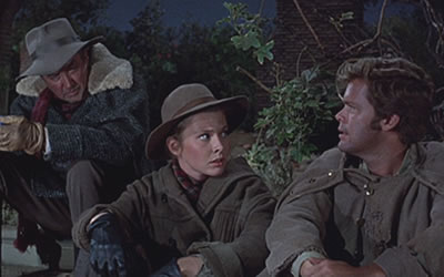 James Stewart, Rosemary Forsyth and Doug McClure in Shenandoah (1965) James Stewart, Rosemary Forsyth and Doug McClure in Shenandoah (1965)