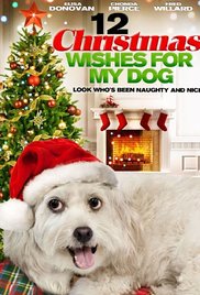 12 Wishes of Christmas