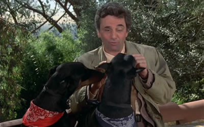 Peter Falk in Columbo: How to Dial a Murder (1978) Peter Falk in Columbo: How to Dial a Murder (1978)
