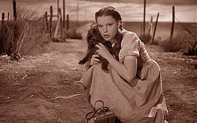 Judy Garland and Terry the dog as Dorothy and Toto in The Wizard of Oz Judy Garland and Terry the dog as Dorothy and Toto in The Wizard of Oz
