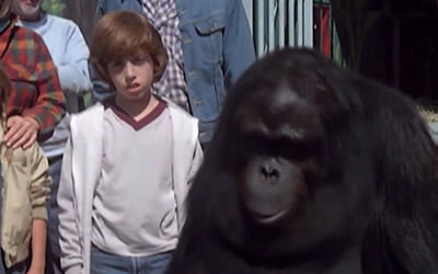 Sean Gerlis in A Summer to Remember (1985) Sean Gerlis in A Summer to Remember (1985)