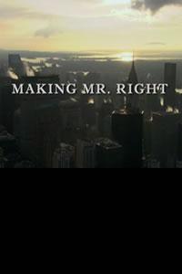 Making Mr. Right (2008)